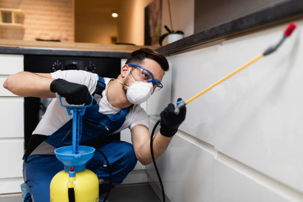 Best Bed Bug Extermination  in Marshallville, GA