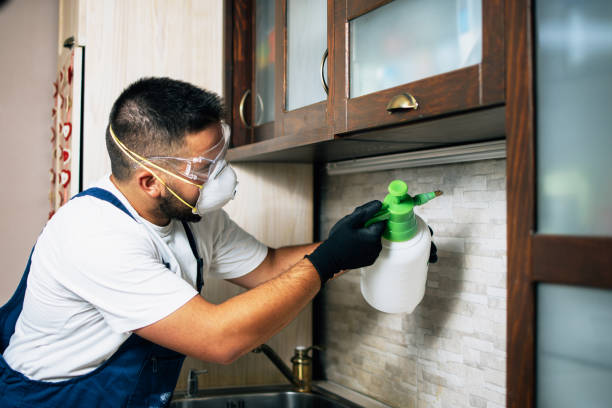 Best Mosquito Control Services  in Marshallville, GA