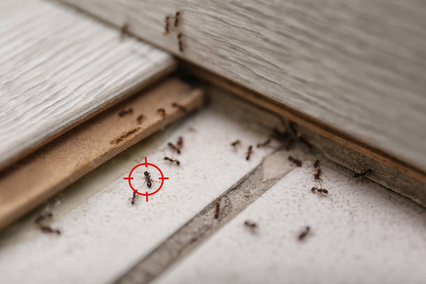 Best Pest Removal Services  in Marshallville, GA