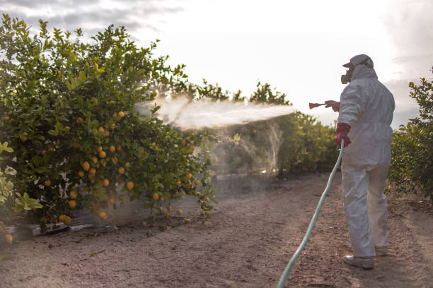 Best Insect Control  in Marshallville, GA