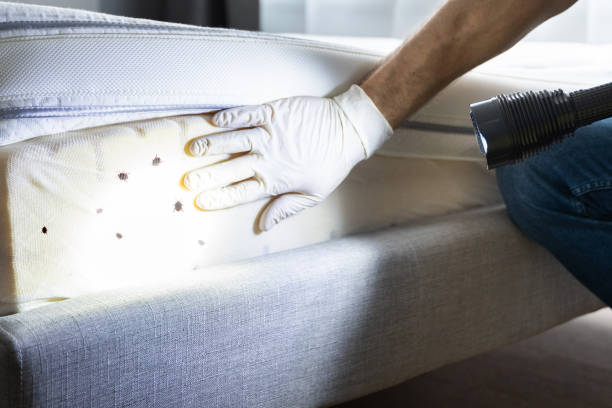 Best Pest Control for Restaurants  in Marshallville, GA