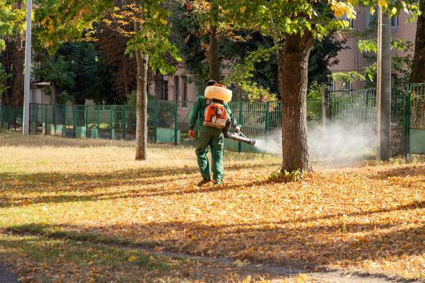 Best Bed Bug Extermination  in Marshallville, GA