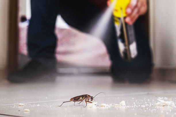 Best Pest Control Near Me in Marshallville, GA