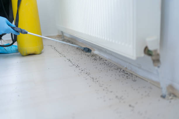 Best Termite Control Services  in Marshallville, GA