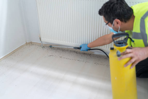 Best Local Pest Control Services  in Marshallville, GA