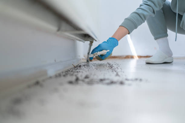 Best Best Pest Control Companies  in Marshallville, GA